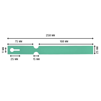 Schlaufenetiketten TT-Drucker 200µ, 250x25 mm, Grün - 1500 Stück