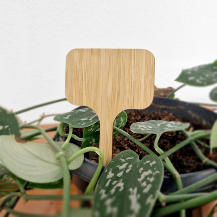 Stecketiketten Schild Bambus 60x100mm - 100 Stück