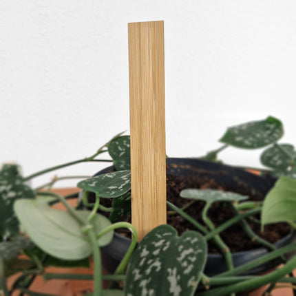 Stecketiketten Bambus 20x150 mm - 100 Stück