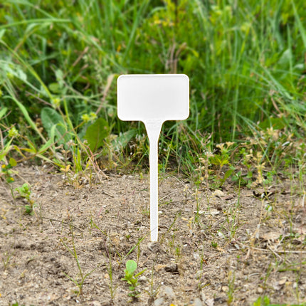 Stecketiketten Schild 15cm - 10 Stück