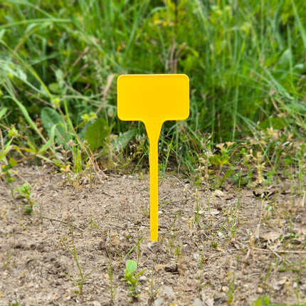 Stecketiketten Schild 15cm - 10 Stück